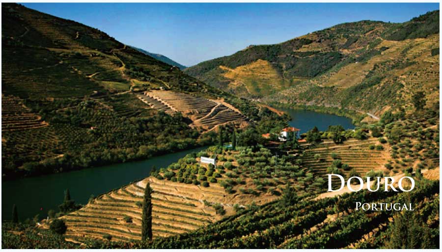 ポルトガル・フランスワインなど各国ワイン通販　レ・ブルジョン　ポルトガル　ドウロ地方のワイン
