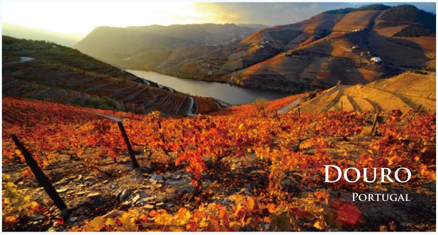 ポルトガル・フランスワインなど各国ワイン通販　レ・ブルジョン　ポルトガル　ドウロ地方、ドウロ川のワイン輸送とポート市