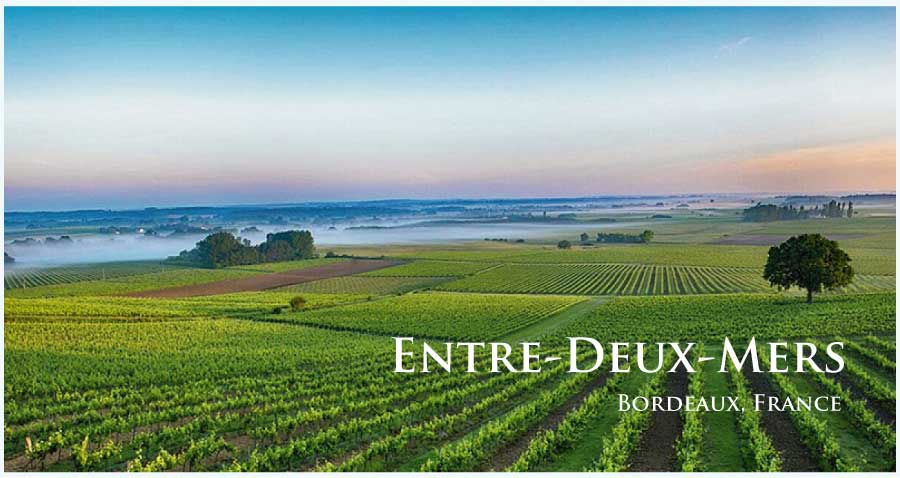 フランス・ワイン産地、アントル・ドゥー・メールのぶどう畑