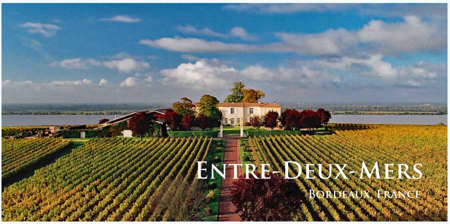 フランス・ワイン産地、アントル・ドゥー・メールのぶどう畑