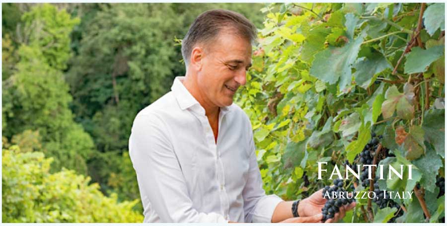 ファンティーニ (Fantini) フランス、アブルッツォ、ブルネッロ・ディ・モンタルチーノ ファンティーニ (Fantini) フランス、アブルッツォ、ブルネッロ・ディ・モンタルチーノ