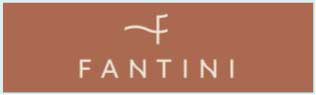 ファンティーニ (Fantini) のワインを検索