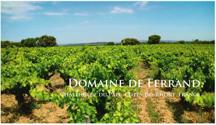 ドメーヌ・ド・フェラン (Domaine de Ferrand) ドメーヌ・ド・フェラン