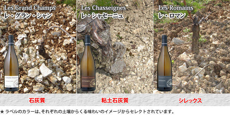 フランスワイン　ドメーヌ・フアシェ　土壌