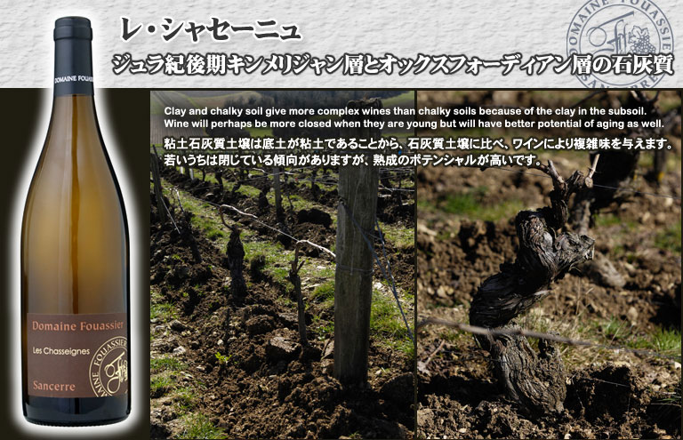 フランスワイン　ドメーヌ・フアシェ　サンセール　レ・シャセーニュ　ブラン　2012年