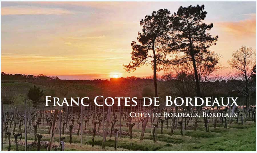 フランス、ボルドー、フラン・コート・ド・ボルドーのぶどう畑 フランス、ボルドー、フラン・コート・ド・ボルドーのぶどう畑