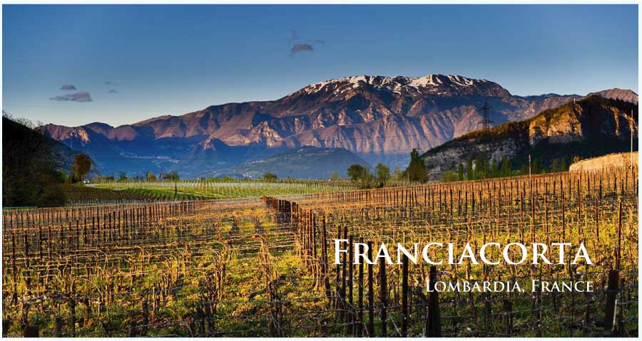 フランチャコルタ (Franciacorta) ワイン通販 レ・ブルジョン