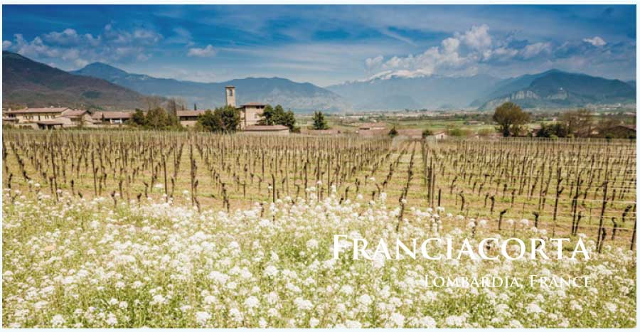 フランチャコルタ (Franciacorta) ワイン通販 レ・ブルジョン