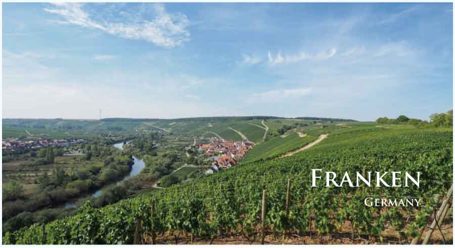 フランケンのぶどう畑　（ドイツ・フランケン）