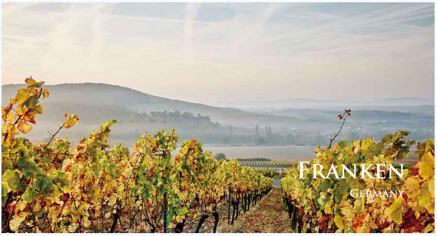 フランケンのぶどう畑　（ドイツ・フランケン）