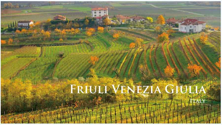 フリウリ・ベネチア・ジュリアのぶどう畑　（イタリア・フリウリ・ベネチア・ジュリア）