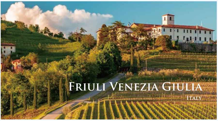 フリウリ・ベネチア・ジュリアのぶどう畑　（イタリア・フリウリ・ベネチア・ジュリア）