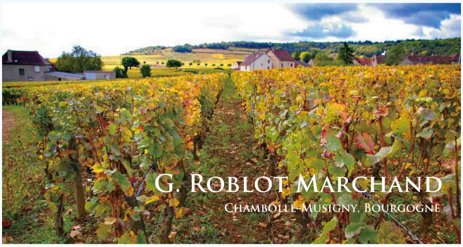 G. ロブロ・マルシャンのワイン
