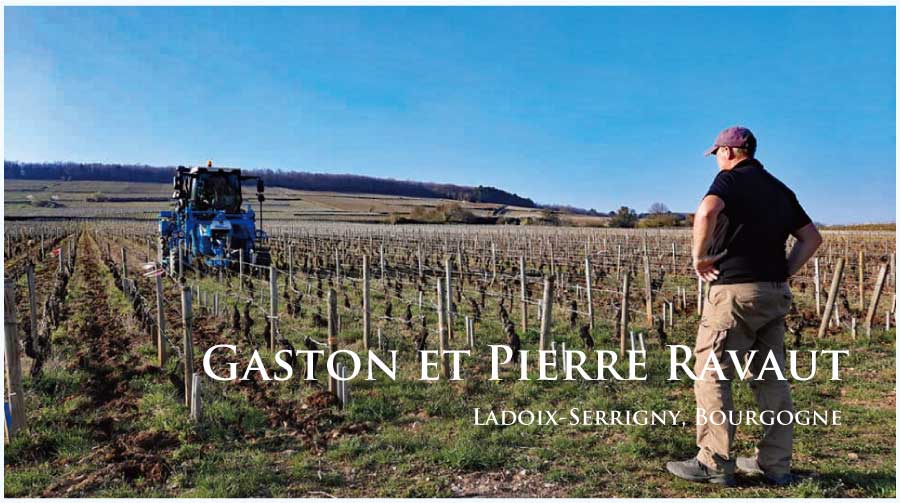 ガストン・エ・ピエール・ラヴォーのぶどう畑