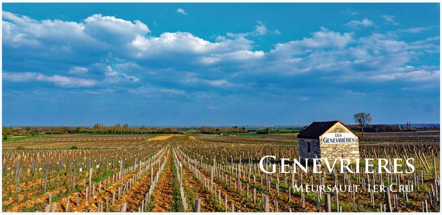 ムルソー、ジュヌヴリエール (Genevrieres) ワイン通販 レ ムルソー、ジュヌヴリエール (Genevrieres) ワイン通販 レ
