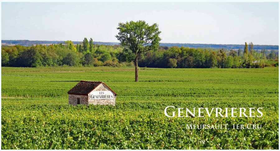 ムルソー、ジュヌヴリエール (Genevrieres) ワイン通販 レ ムルソー、ジュヌヴリエール (Genevrieres) ワイン通販 レ