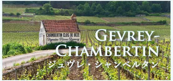 ジュヴレ・シャンベルタン (Gevrey-Chambertin)