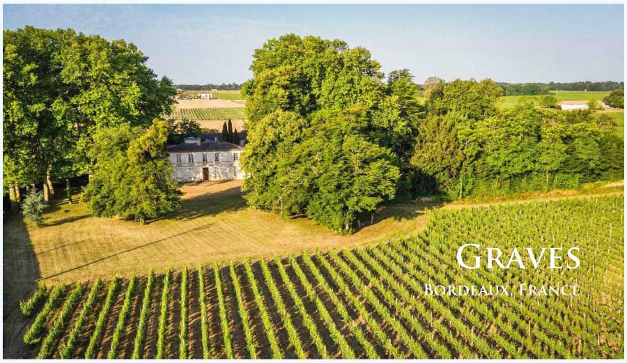 フランス・ワイン産地、グラーヴのぶどう畑
