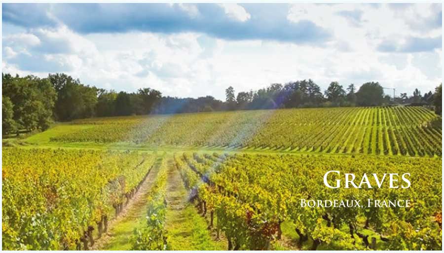フランス・ワイン産地、グラーヴのぶどう畑