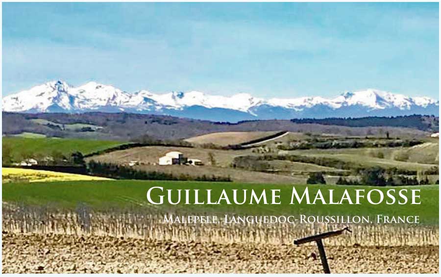 ギヨーム・マラフォス （Guillaume Malafosse)