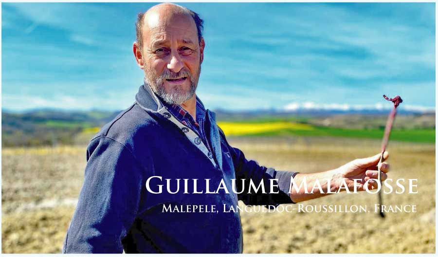 ギヨーム・マラフォス （Guillaume Malafosse)