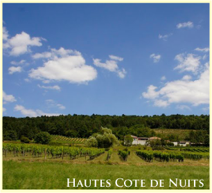 オート・コート・ド・ニュイ