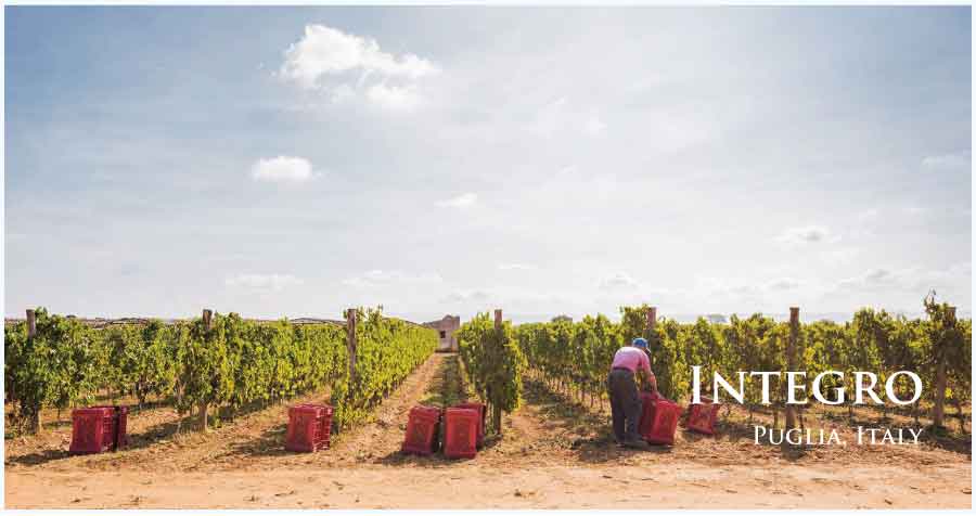 インテグロ (Integro) イタリア、プーリア、サレント