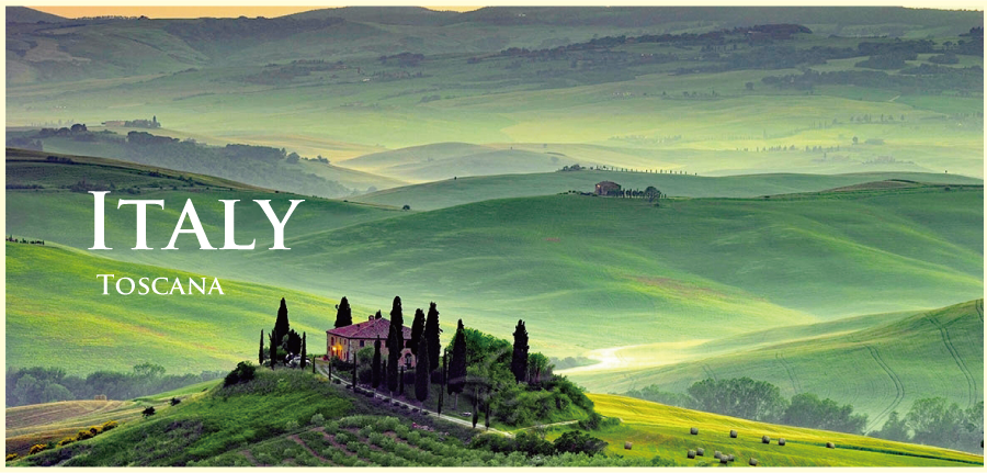 イタリア・ワイン (Italian Wine) イタリア・ワイン (Italian Wine)