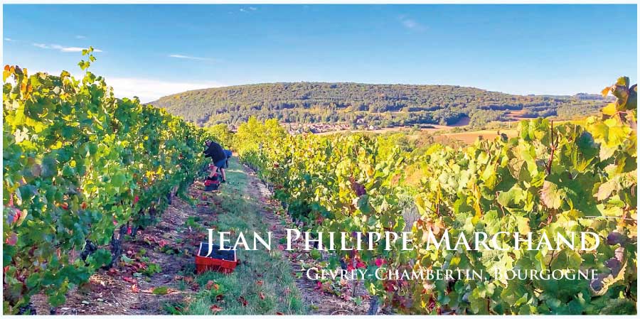 ジャン・フィリップ・マルシャン (Jean-Philippe Marchand