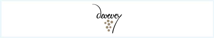 ジャン・イヴ・ドゥヴヴェイ (Jean-Yves Devevey) ジャン・イヴ・ドゥヴヴェイ (Jean-Yves Devevey)