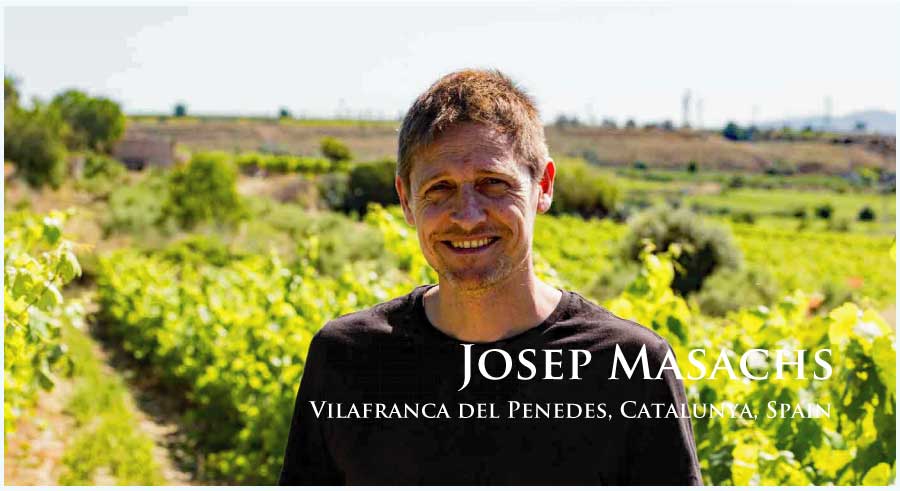 ジョゼップ・マザックス (Josep Masachs) スペイン、カタルーニャ