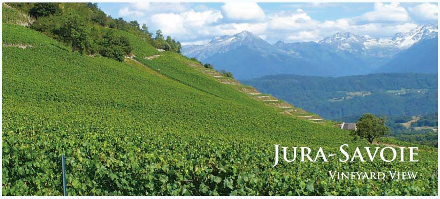 フランス・ワイン産地、ジュラ・サヴォワのぶどう畑