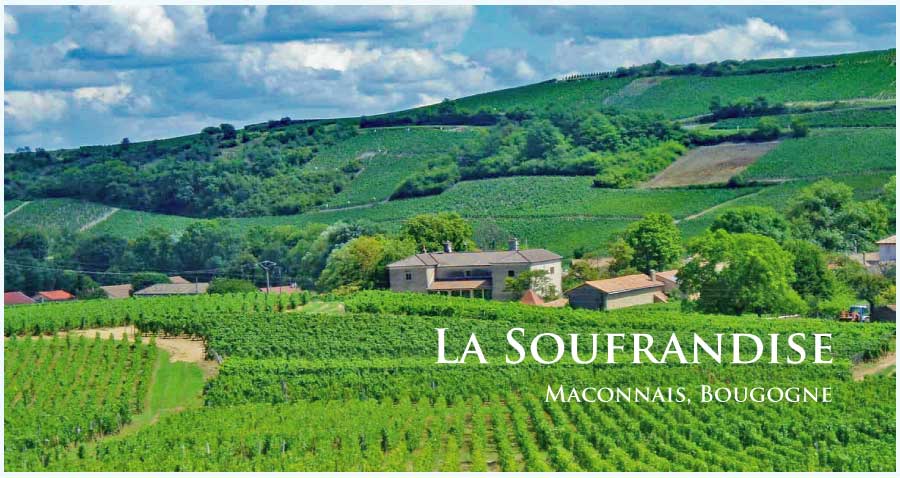 ラ・スフランディーズ (La Soufrandise) フランス、ブルゴーニュ、ムルソー