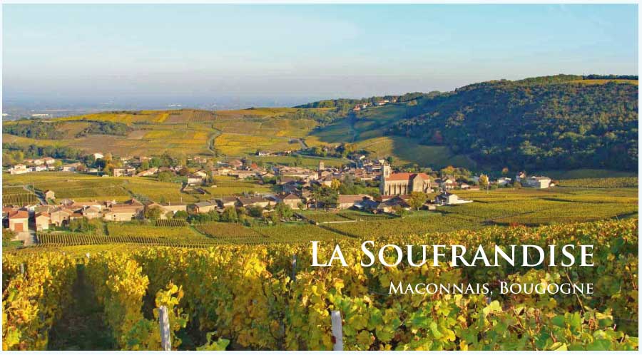ラ・スフランディーズ (La Soufrandise) フランス、ブルゴーニュ、ムルソー