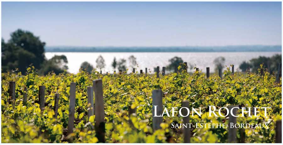 シャトー・ラフォン・ロシェ (Chateau Lafon Rochet)