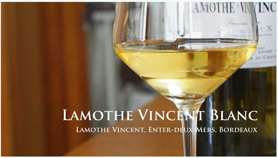 ラモット・ヴァンサン (Ch. Lamothe Vincent) ブラン 2021 年