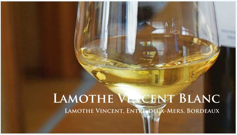 ラモット・ヴァンサン (Ch. Lamothe Vincent) ブラン 2021 年