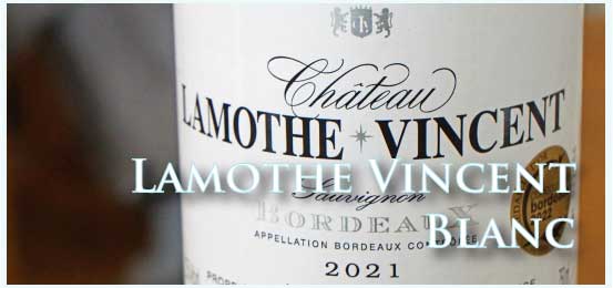 ラモット・ヴァンサン ブラン (Ch. Lamothe Vincent Blanc) 2021 年
