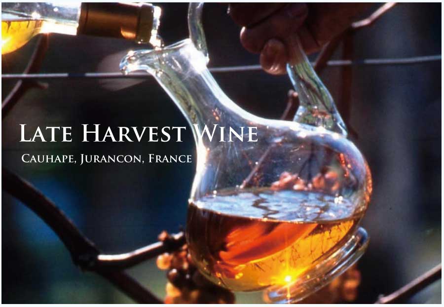 遅摘みワイン (Late Harvest Wine)