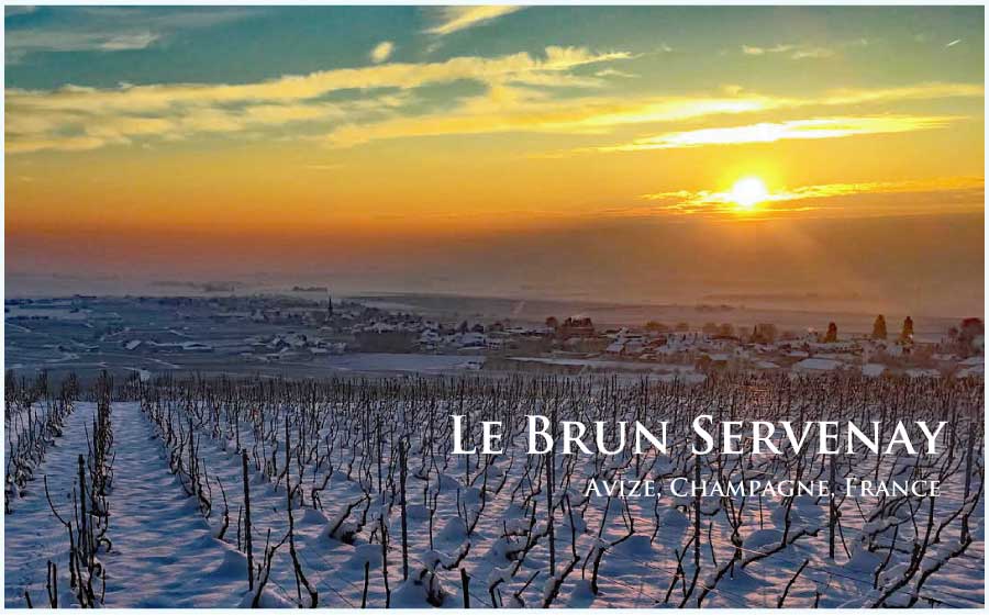 ル・ブリュン・セルヴネイ (Le Brun Servenay)