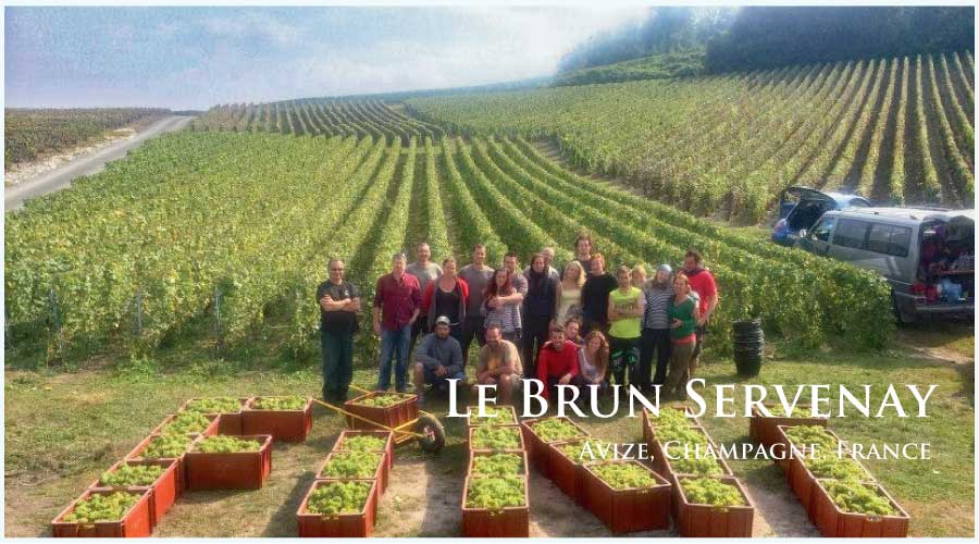 ル・ブリュン・セルヴネイ (Le Brun Servenay)