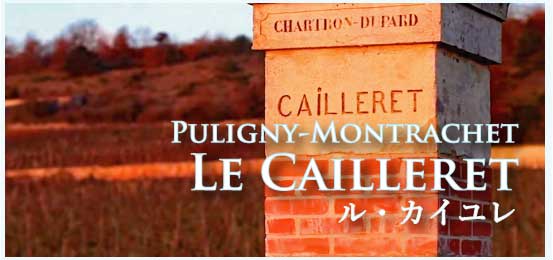 ピュリニー・モンラッシェ、プルミエ・クリュ、ル・カイユレ (Puligny-Montrachet, 1er Cru, Le Cailleret）