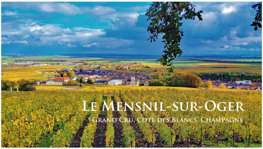 ル・メニル・シュル・オジェ (Le Mesnil-sur-Oger) ル・メニル・シュル・オジェ (Le Mesnil-sur-Oger)