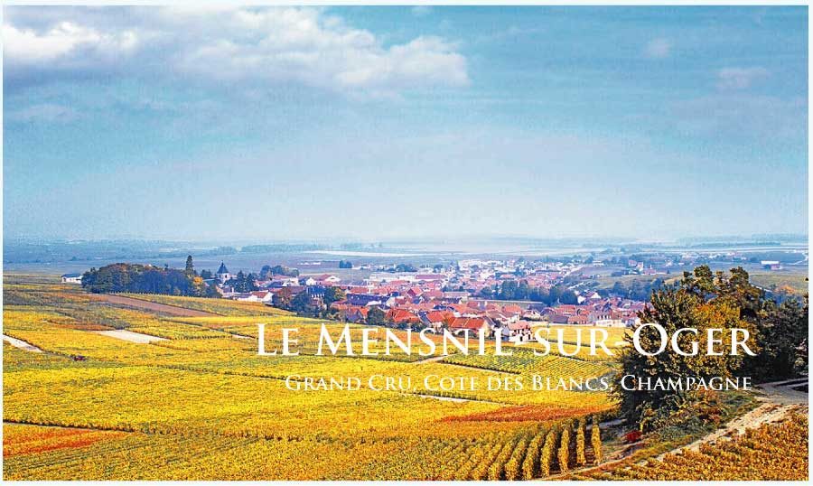 ル・メニル・シュル・オジェ (Le Mesnil-sur-Oger) ル・メニル・シュル・オジェ (Le Mesnil-sur-Oger)