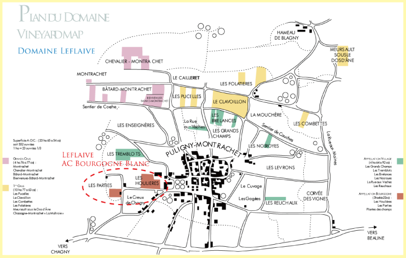ポルトガル・フランスワインなど各国ワイン通販　レ・ブルジョン　ドメーヌ・ルフレーヴ　ピュリニー・モンラッシェの畑