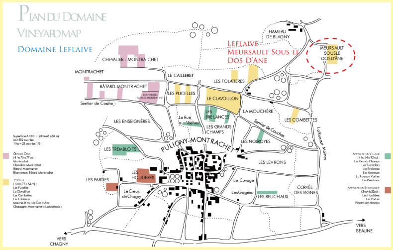 ポルトガル・フランスワインなど各国ワイン通販　レ・ブルジョン　ドメーヌ・ルフレーヴ　ムルソー　1er cru　スー・ル・ド・ダーヌ　（一級畑）　の畑