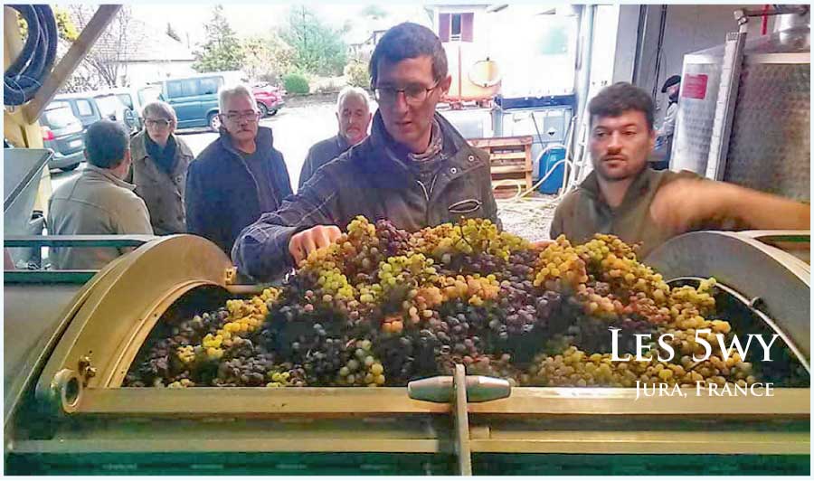 レ・サンク・ヴィ (Les 5wy)