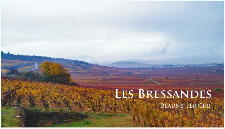 レ・ブレッサンド (Les Bressandes) レ・ブレッサンド (Les Bressandes)