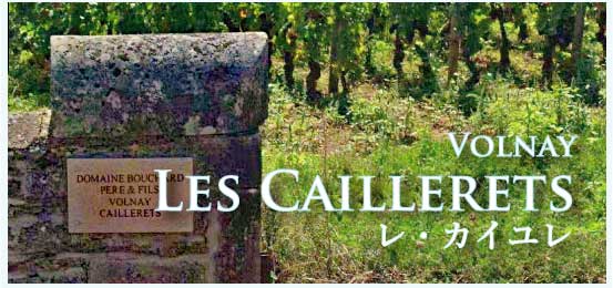 ヴォルネイ、プルミエ・クリュ、レ・カイユレ (Volnay, 1er Cru, Les Caillerets)