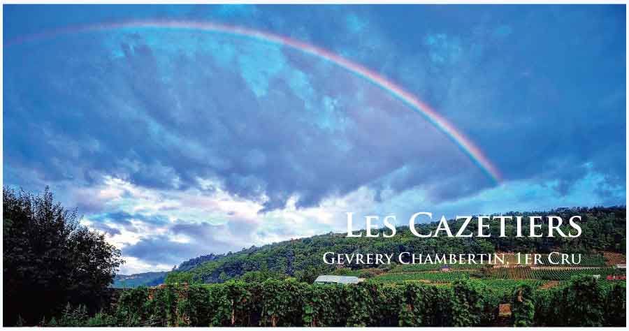 レ・カズティエ (Les Cazetiers) レ・カズティエ (Les Cazetiers)